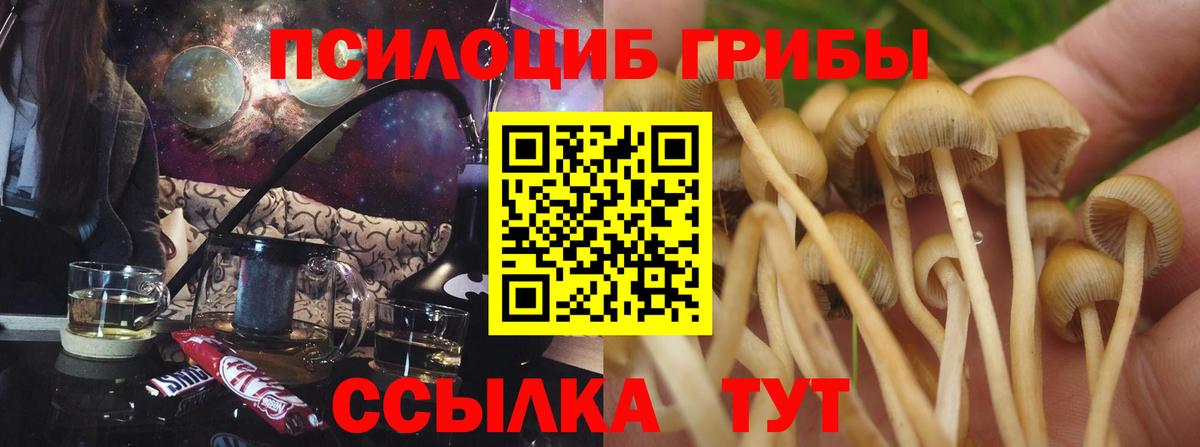 Галлюциногенные грибы Psilocybe  Псилоцибиновые грибы Magic Shrooms  Вход с VPN  Котлас 